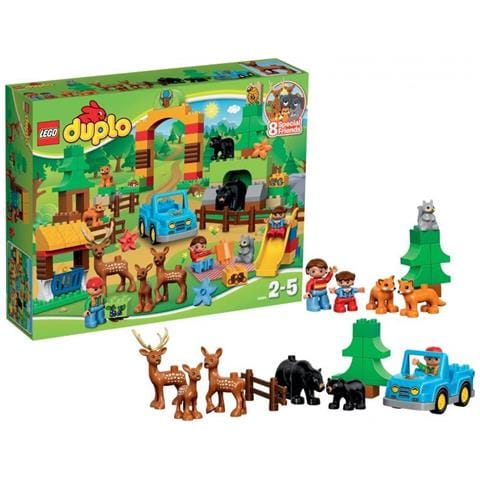 10584 Foresta: Parco - Foto 3