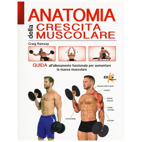 Craig Ramsay - Anatomia della crescita muscolare. Guida all'allenamento funzionale per aumentare la massa muscolare. Ediz. a colori - Foto 1