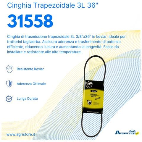 Cinghia Trapezoidale 3l 36"" - Foto 2