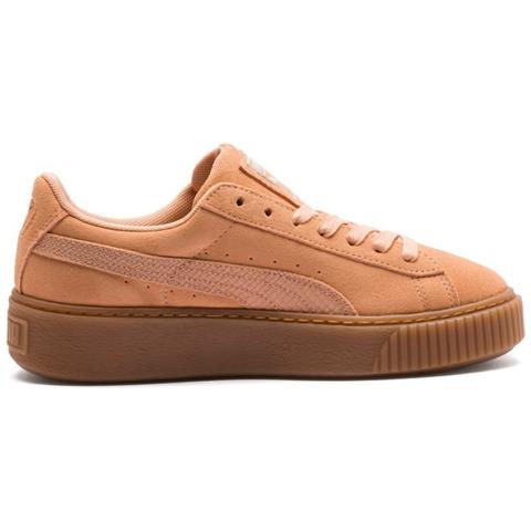 puma animal platform puma animal platform