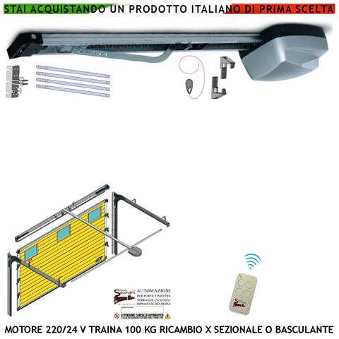Porta Basculante Sezionale 100 Kg Motore 220/24 V Ricambio Automatismo Radiocomando Binario 3 Metri Sistema Autorevers - Foto 1
