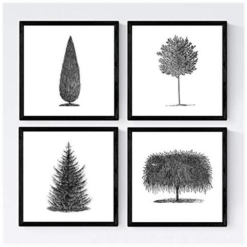 Set Di 4 Stampe Fogli Di Alberi. Diversi Alberi Di , Carta Poster Di Sfondo Bianco 250 Gr E Inchiostri Di Alta Qualità Senza Cornice 20x20 Cm - Foto 1