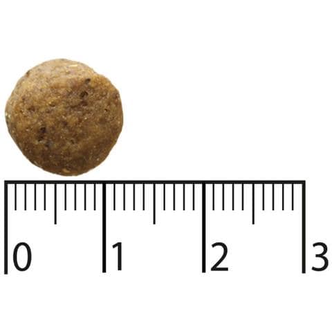 9117387 cibo secco per cani 11 kg Adulto Elk - Foto 2