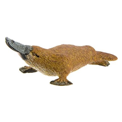 Safari Ltd Wild Safari Wildlife Ornitorinco - Foto 1