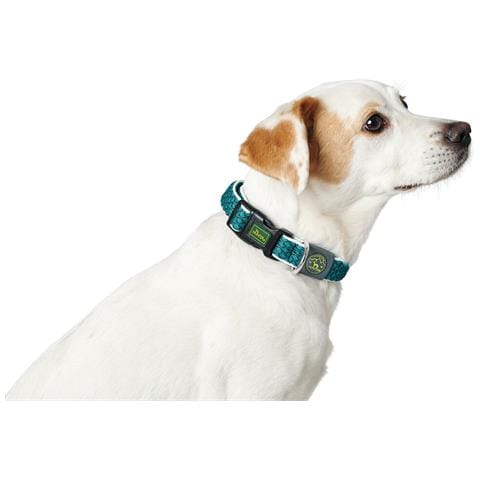 Collare Per Cani Turchese 12 - Foto 2