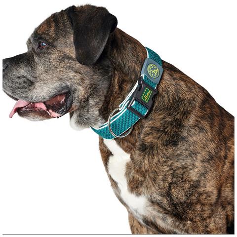 Collare Per Cani Plus Filo Turquoise Turchese Taglia L (40-60 Cm) - Foto 1