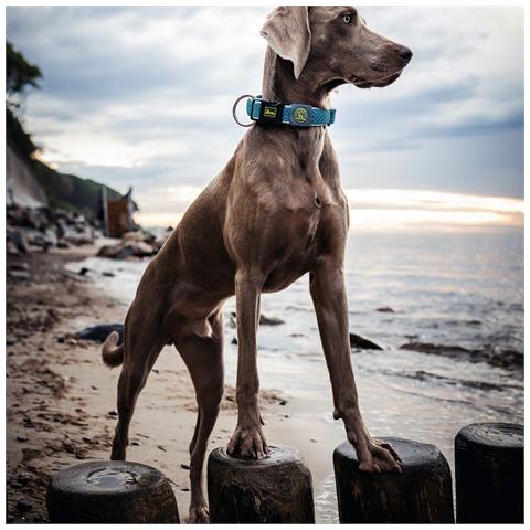 Collare Per Cani Plus Filo Turquoise Turchese Taglia L (40-60 Cm) - Foto 2