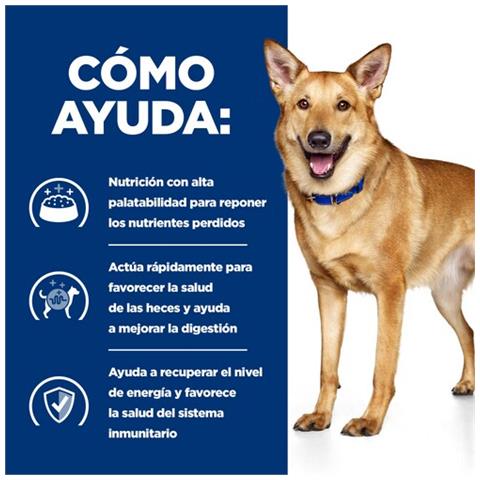 605845 cibo umido per cani Pollo, Manzo Universale 4 kg - Foto 5