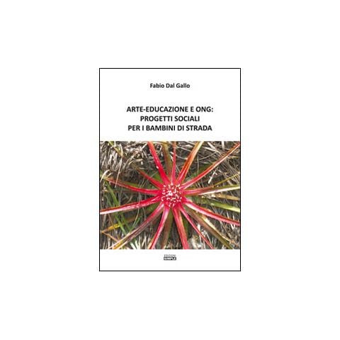 Fabio Dal Gallo - Arte-Educazione e Ong: progetti sociali per i bambini di strada - Foto 2