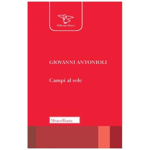 Giovanni Antonioli - Campi Al Sole - Foto 1