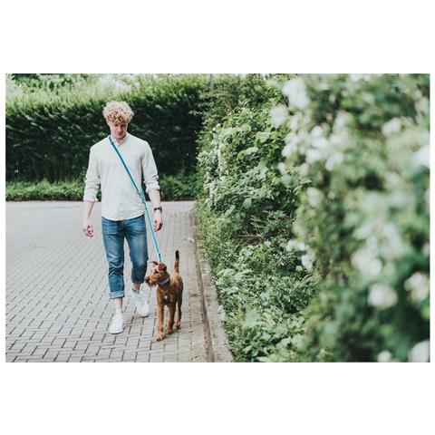 Guinzaglio Per Cani Hilo Turchese (200 Cm) - Foto 5