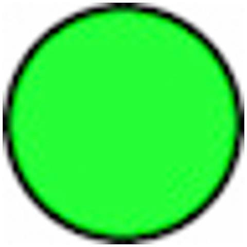 Filo Per Decespugliatore Evergreen Da 15m Sezione Tonda Ø 2,70mm - Foto 2