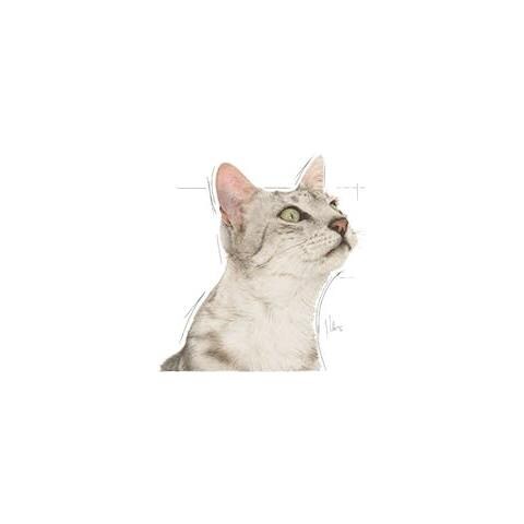 SENSORY SMELL 85 g - Foto 2