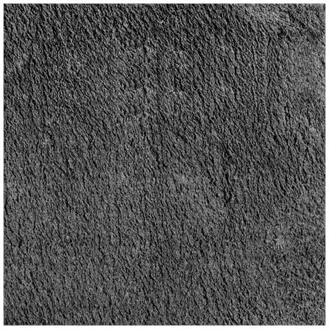 Tappeti per area HUARTE Antracite 1000 x 80 cm Poliestere - Foto 9