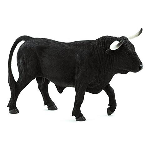 Toro Spagnolo - Foto 1