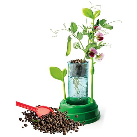 Scienza E Gioco La Botanica L'idrocultura A Casa Tua Piante Da Coltivare - Foto 2