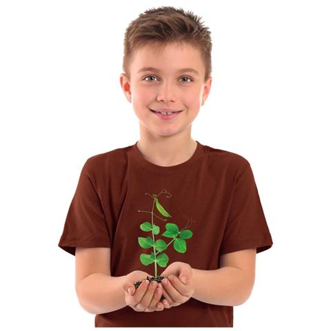 Scienza E Gioco La Botanica L'idrocultura A Casa Tua Piante Da Coltivare - Foto 5