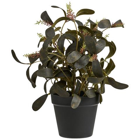 Pianta Artificiale Tipo Eucalipto In Vaso Nero 35 Cm - Foto 1