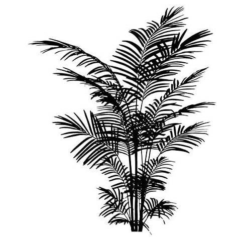 Felce Timbro, Legno, Nero, 5 x 2,5 x 6 cm - Foto 1