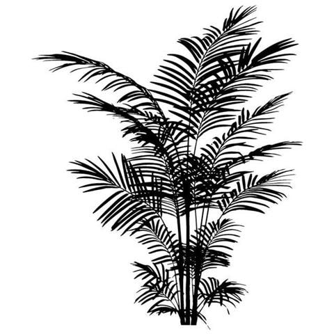 Felce Timbro, Legno, Nero, 5 x 2,5 x 6 cm - Foto 2