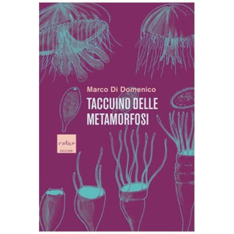 Marco Di Domenico - Taccuino Delle Metamorfosi - Foto 1