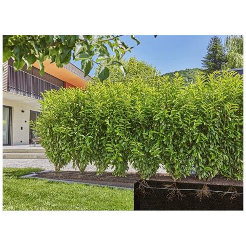 13500-20 sistema di irrigazione goccia a goccia - Foto 4