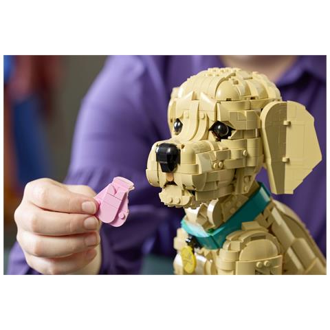 ICONS 11384 Cucciolo di Golden Retriever, Kit di Modellismo Adulti con Animale 3D, Decorazione Fai da Te, Idea Regalo - Foto 48