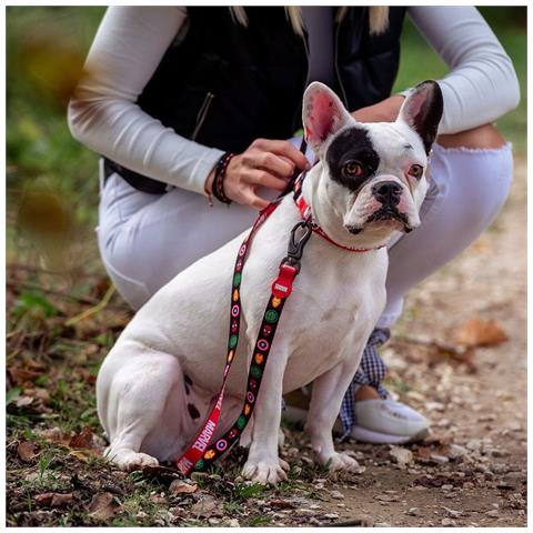 Guinzaglio Per Cani Rosso M - Foto 7