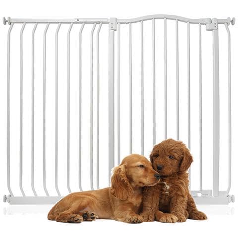 Bettacare Cancelletto Per Cani Extra Alto Con Parte Superiore Incurvata, 116cm - 125cm, Bianco Opaco, Extra Alto Con 100cm Di Altezza - Foto 1