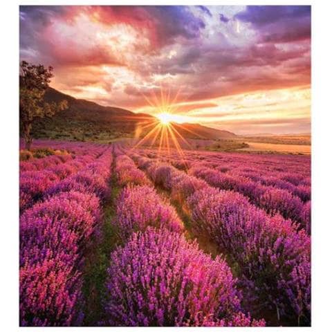 Ledwall Indoor Serie Ifh-e, Pixel Pitch 1.5 Mm - Foto 1