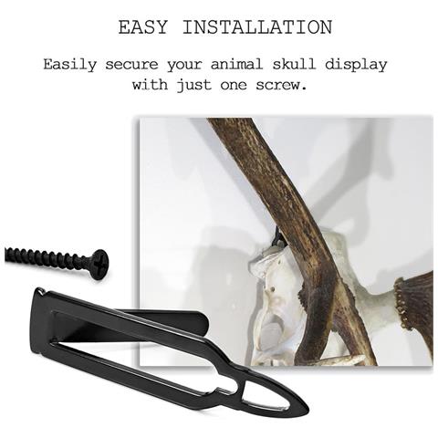 Supporto Per Teschio Per Montaggio Europeo, Staffa Per Montaggio Palco Pesante Per Montaggio Cervo 6-pack - Foto 5