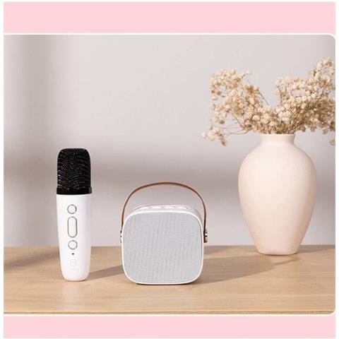 Altoparlante Ktv Bluetooth Portatile Con Microfono Wireless, Audio Hifi Ed Effetto Eco White - Foto 2
