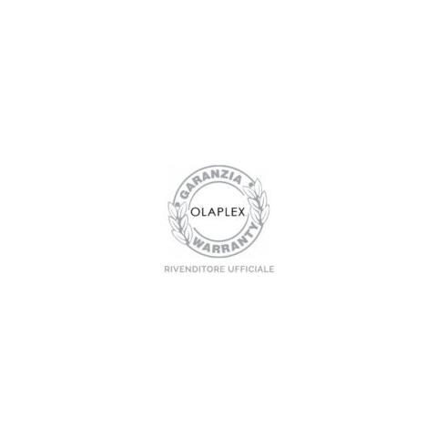 Bond Maintenance Shampoo N°4 250 Ml - Foto 1