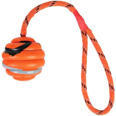 Palla In Gomma Dura Con Corda Per Cani 30 Cm - Foto 1