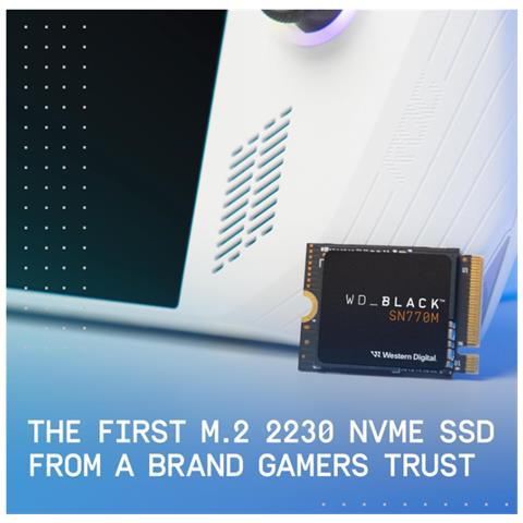 SSD 1 TB Serie 850 EVO 2.5" Interfaccia PCI Express 4.0 - Foto 2