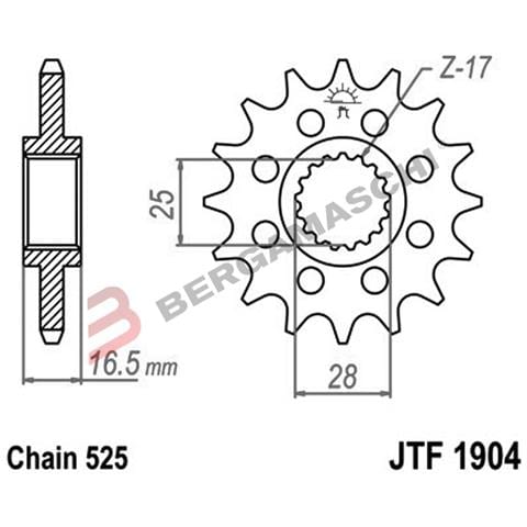 B1r A55190416 Pignone 1904 Z16rbammortizzato f1904.16rb - Foto 1