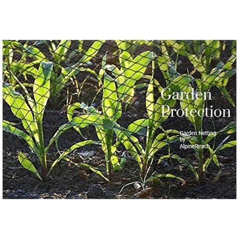 Garden Rete Kit 2m X 20m Gift Box - Nero Intrecciato Maglia Piante Protect Frutta Fiori Alberi - Specchio Scherma Netto Durevole Con Zip Ties - Heavy Duty Belle Copertina Arresta Uccelli Deer Animali. . . - Foto 4
