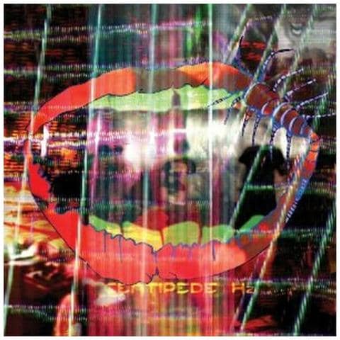 Animal Collective - Centipede Hz - Foto 1