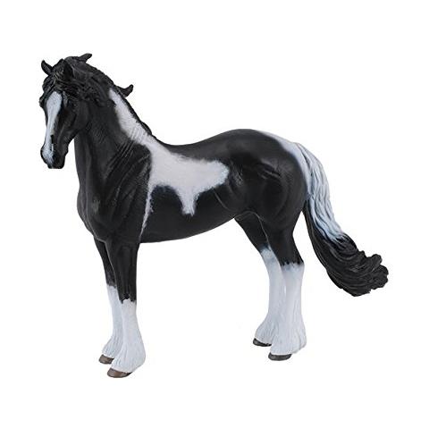 Barock Pinto Stallion - Foto 1