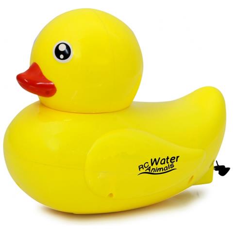 Water Animals Duck - Foto 1