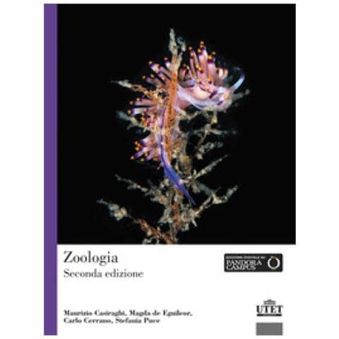 Maurizio Casiraghi - Zoologia - Foto 1