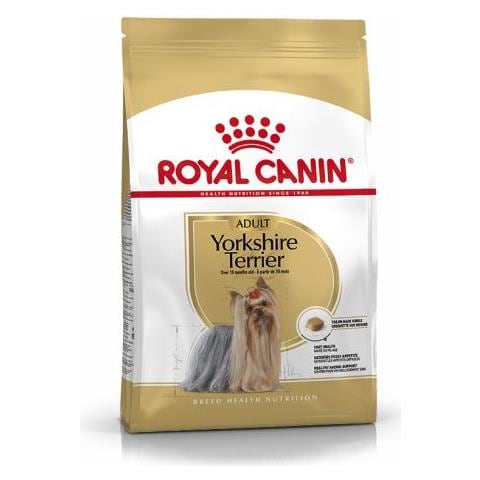 Yorkshire Terrier Adult 3 Kg - Foto 1