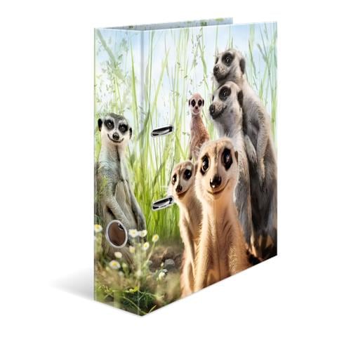 20048 raccoglitore ad anelli A4 Multicolore - Foto 2