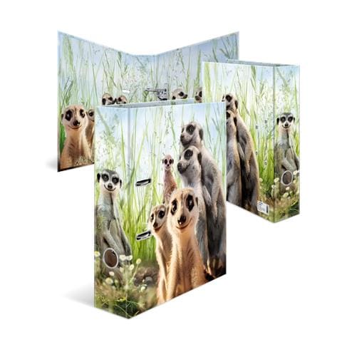 20048 raccoglitore ad anelli A4 Multicolore - Foto 1