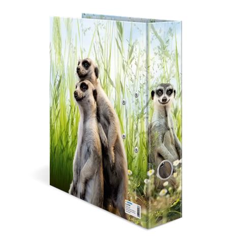 20048 raccoglitore ad anelli A4 Multicolore - Foto 4
