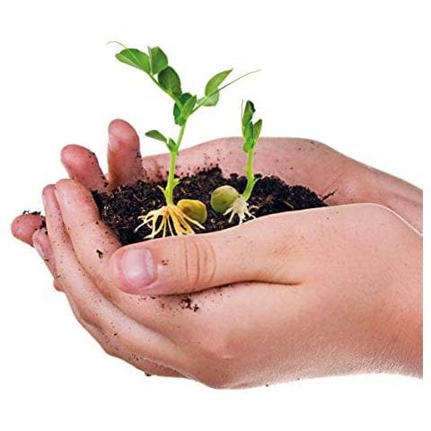 Scienza & Game-la Biosfera, 52343, Multicolore - Foto 2