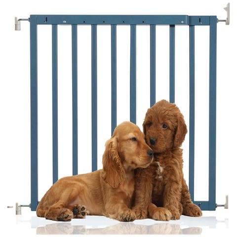 Bettacare Cancelletto Per Cani Robusto In Legno Con Montaggio A Vite, 63,5cm - 105,5cm, Azzurro - Foto 1