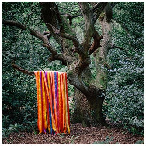 James Holden & The Animal Spirits - The Animal Spirits - Foto 1