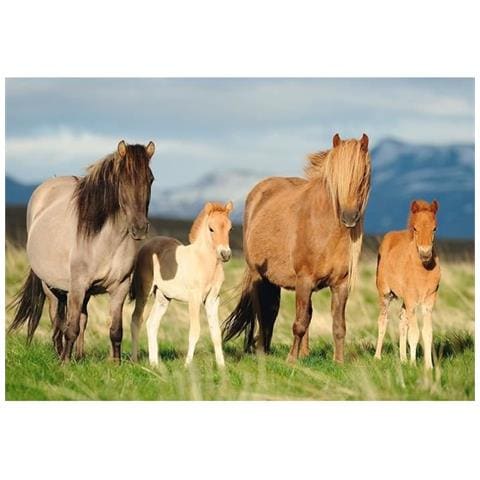 Puzzle Per Bambini 200 Pezzi - Famiglia Di Cavalli - Schmidt E Spiele - Foto 1