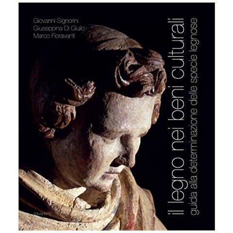 Giovanni Signorini - Il legno nei beni culturali. Guida alla determinazione delle specie legnose - Foto 2